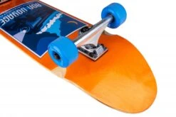 D Street Bon Voyage Cruiser Skateboard - 32" 5 D Street Bon Voyage Cruiser Skateboard - 32" -Skateboard Series d street bon voyage cruiser skateboard close